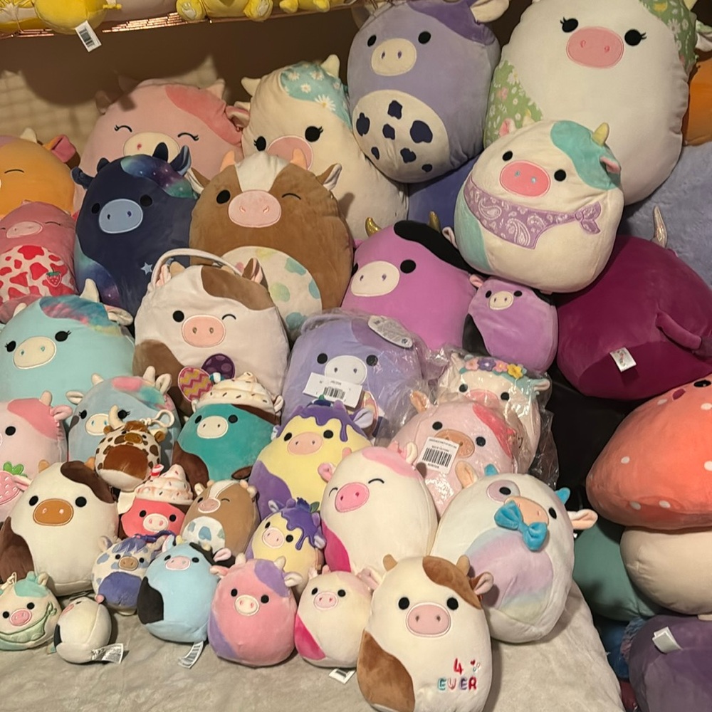 70 cow squishmallow bundle VERY RARE. - Picture 3 of 13